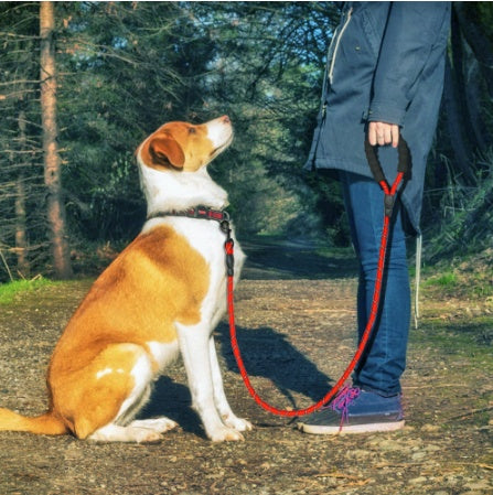Nylon Dog Leash Rope Anti Slip