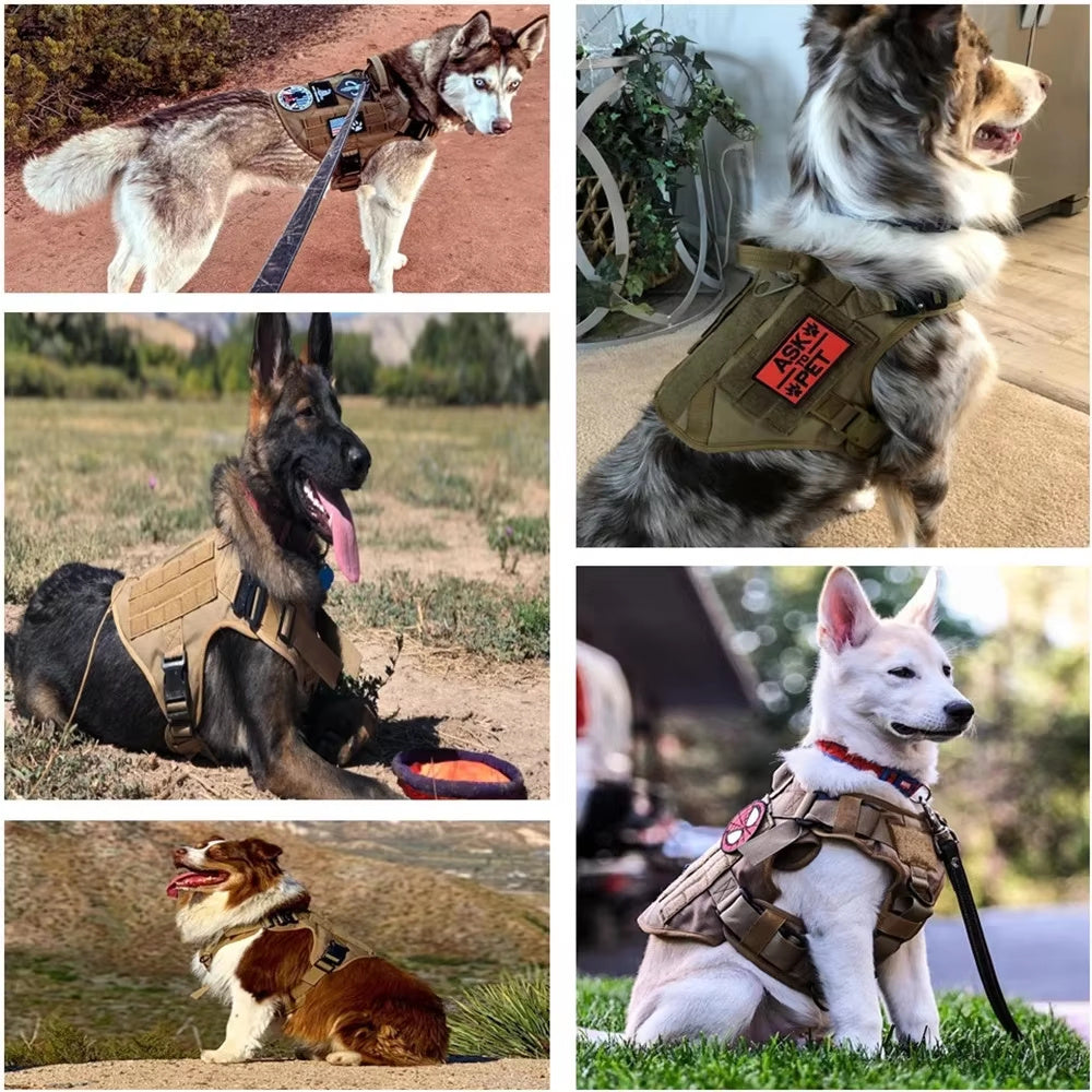Dog Harness Nylon Camouflage
