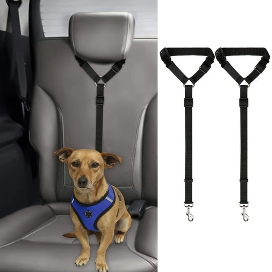 Two-Piece Dog Leash Set – Durable, Skin-Friendly & Travel-Ready Design.